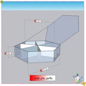 باکس شیشه ایی جانباتی