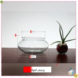 پردیس کوچک (عدسی کوچک)