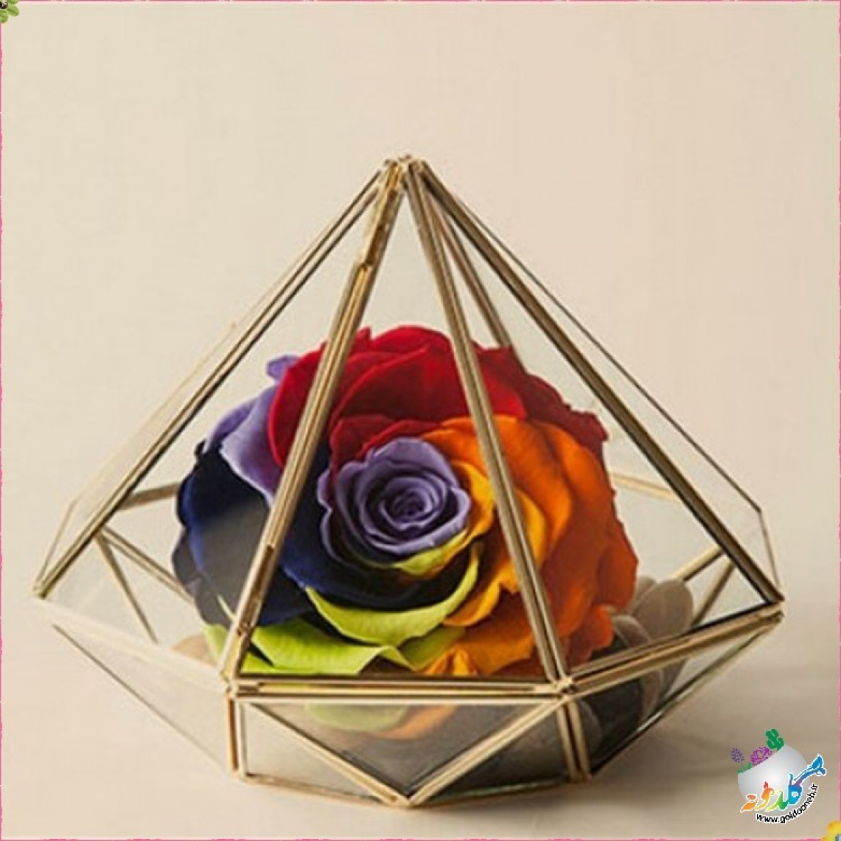 باکس چندوجهی کد 2041