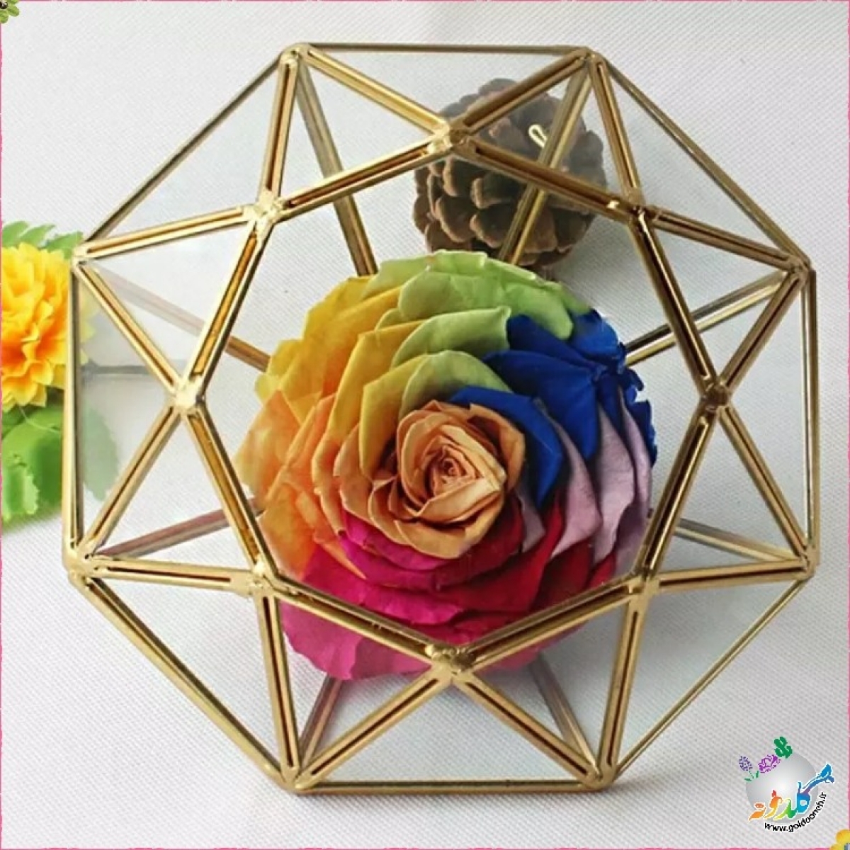 باکس چندوجهی کد 2041