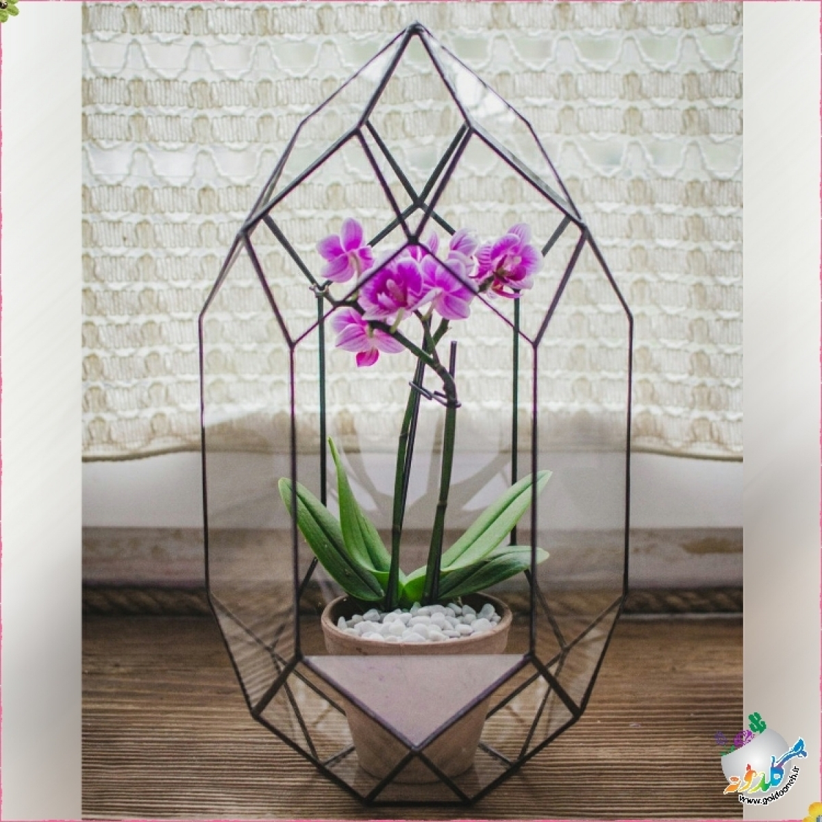باکس چندوجهی کد 2043