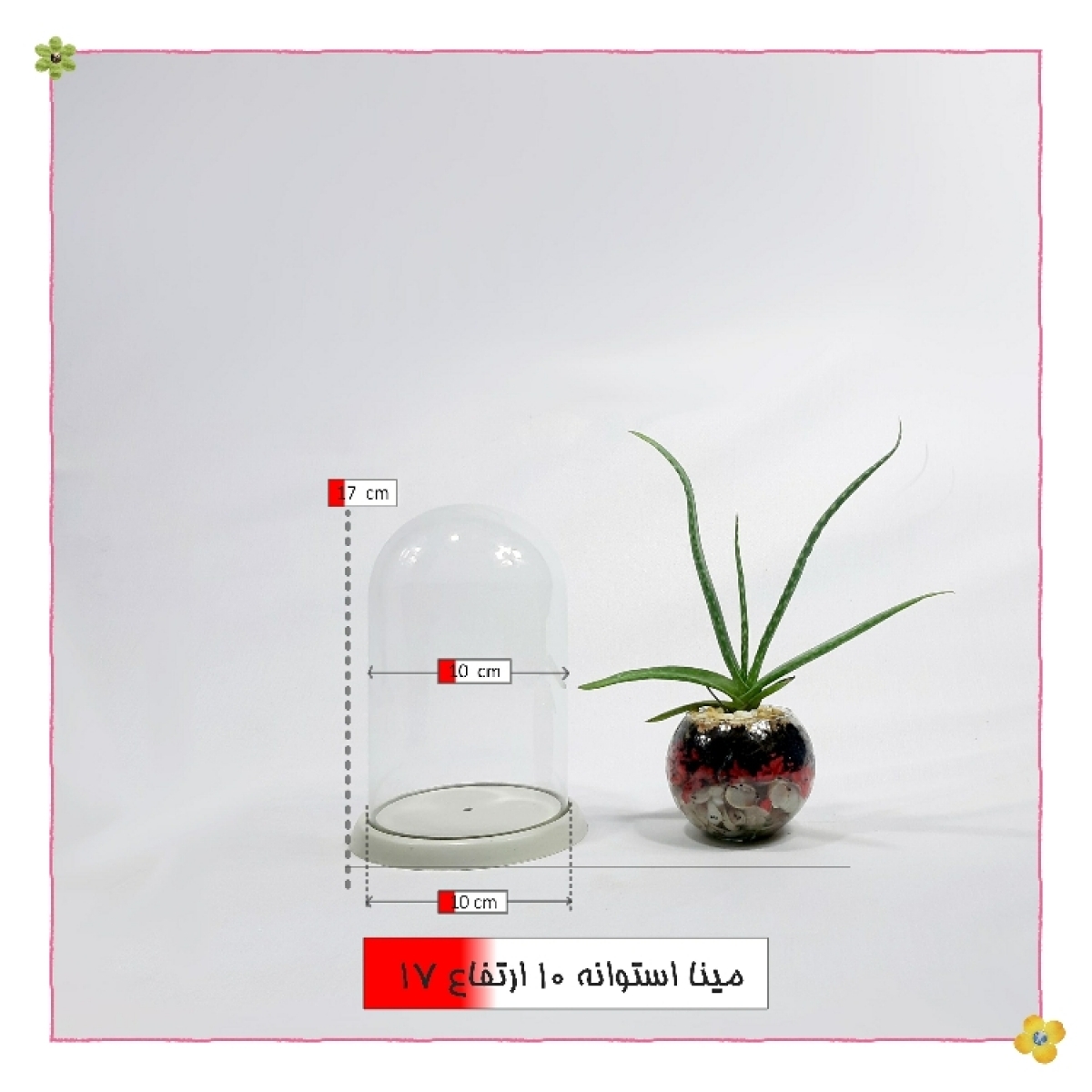 شیشه کفه دار طرح پدیده استوانه قطر 10 ارتفاع 15