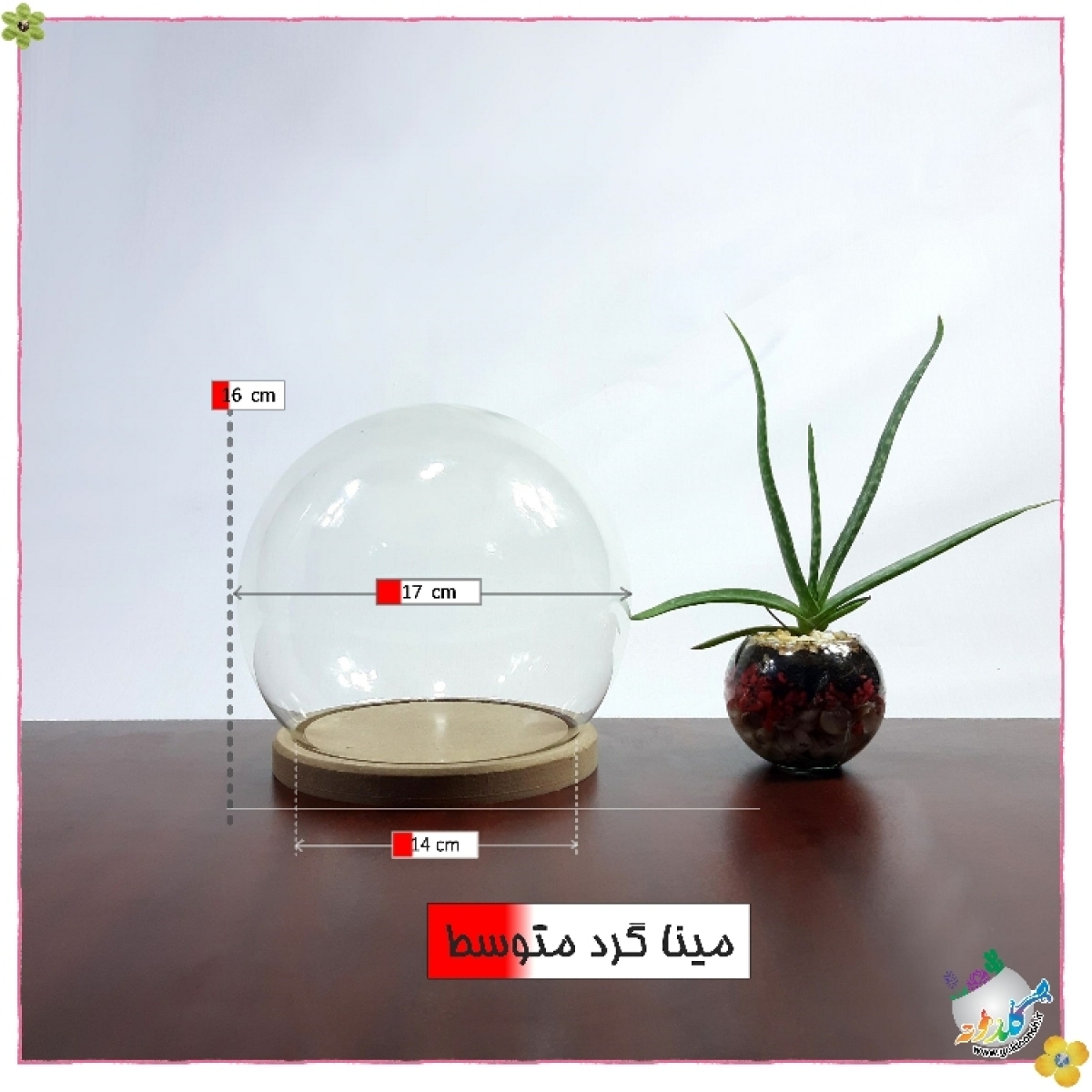 شیشه کفه دار طرح پدیده گرد 14
