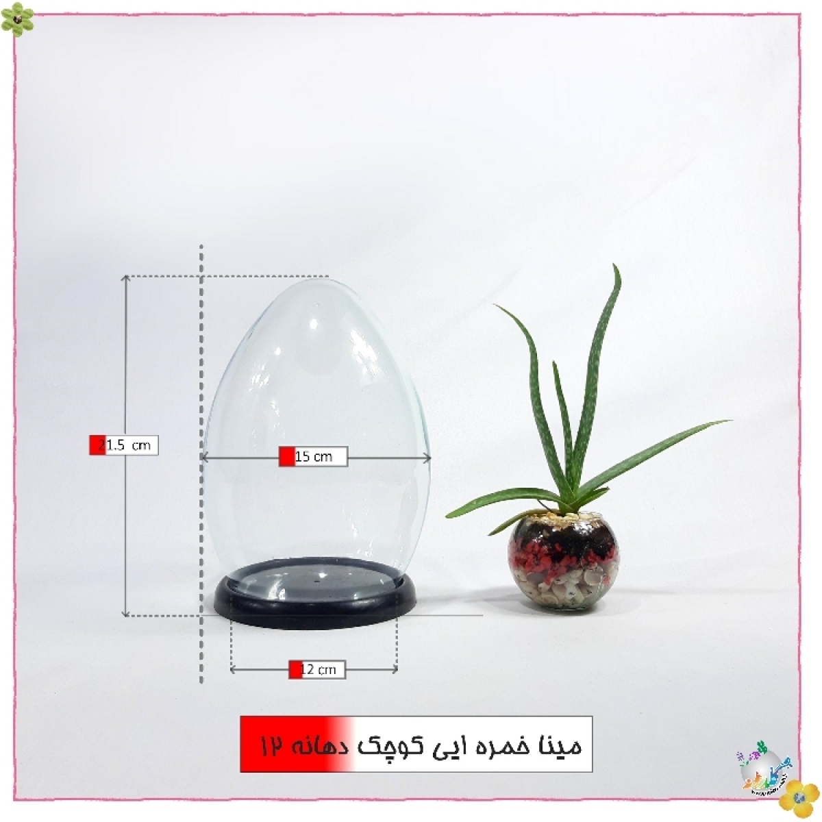 شیشه کفه دار طرح پدیده خمره ایی کوچک