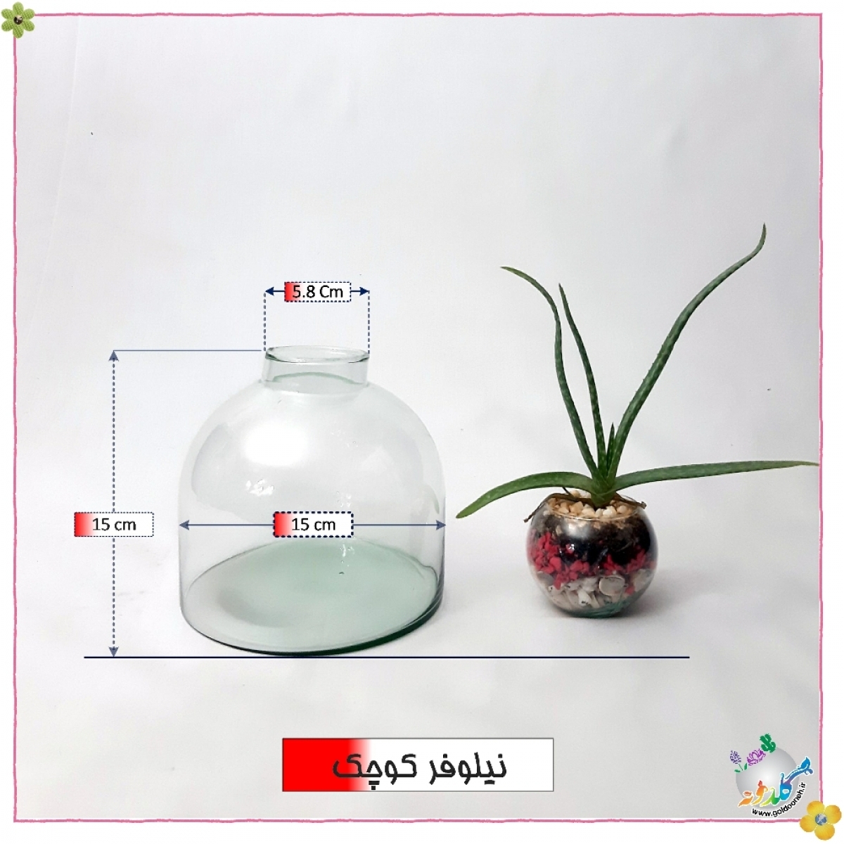 نیلوفر قطر15 ارتفاع 15
