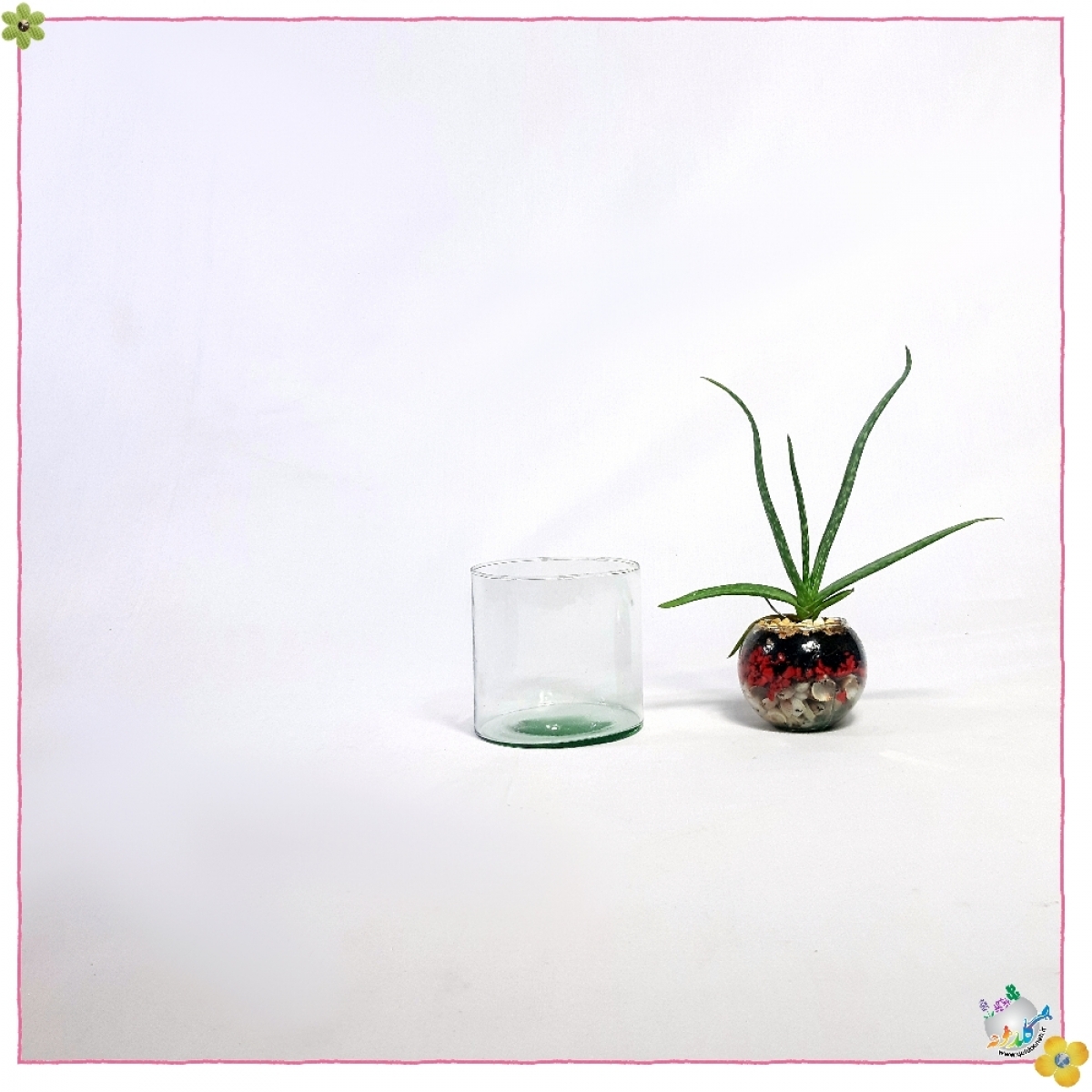 استوانه شیشه ایی قطر 10 ارتفاع 10