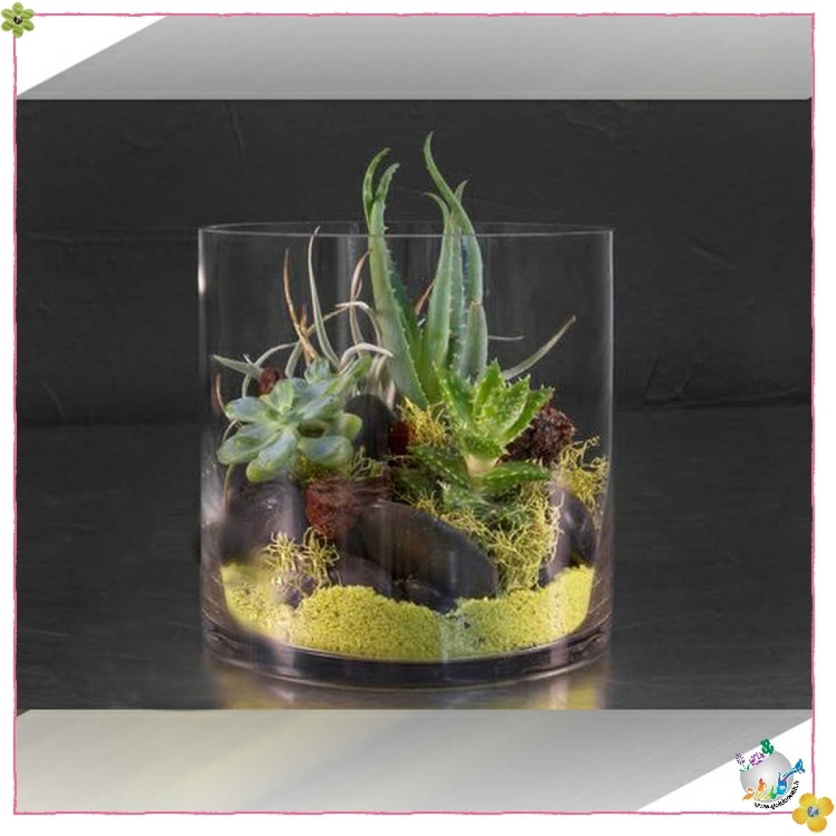 استوانه شیشه ایی قطر 12 ارتفاع 10