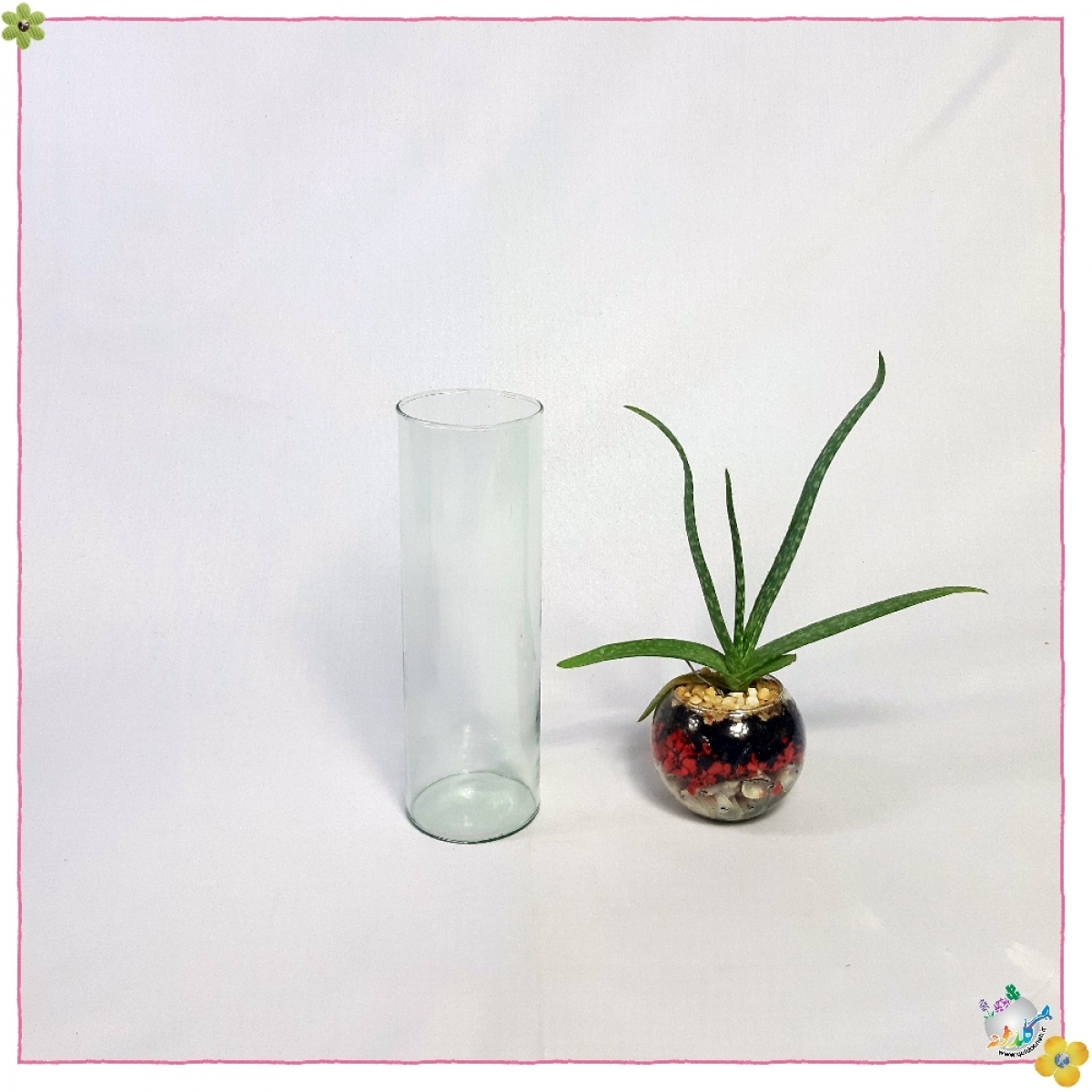 استوانه شیشه ایی قطر 6 ارتفاع 20