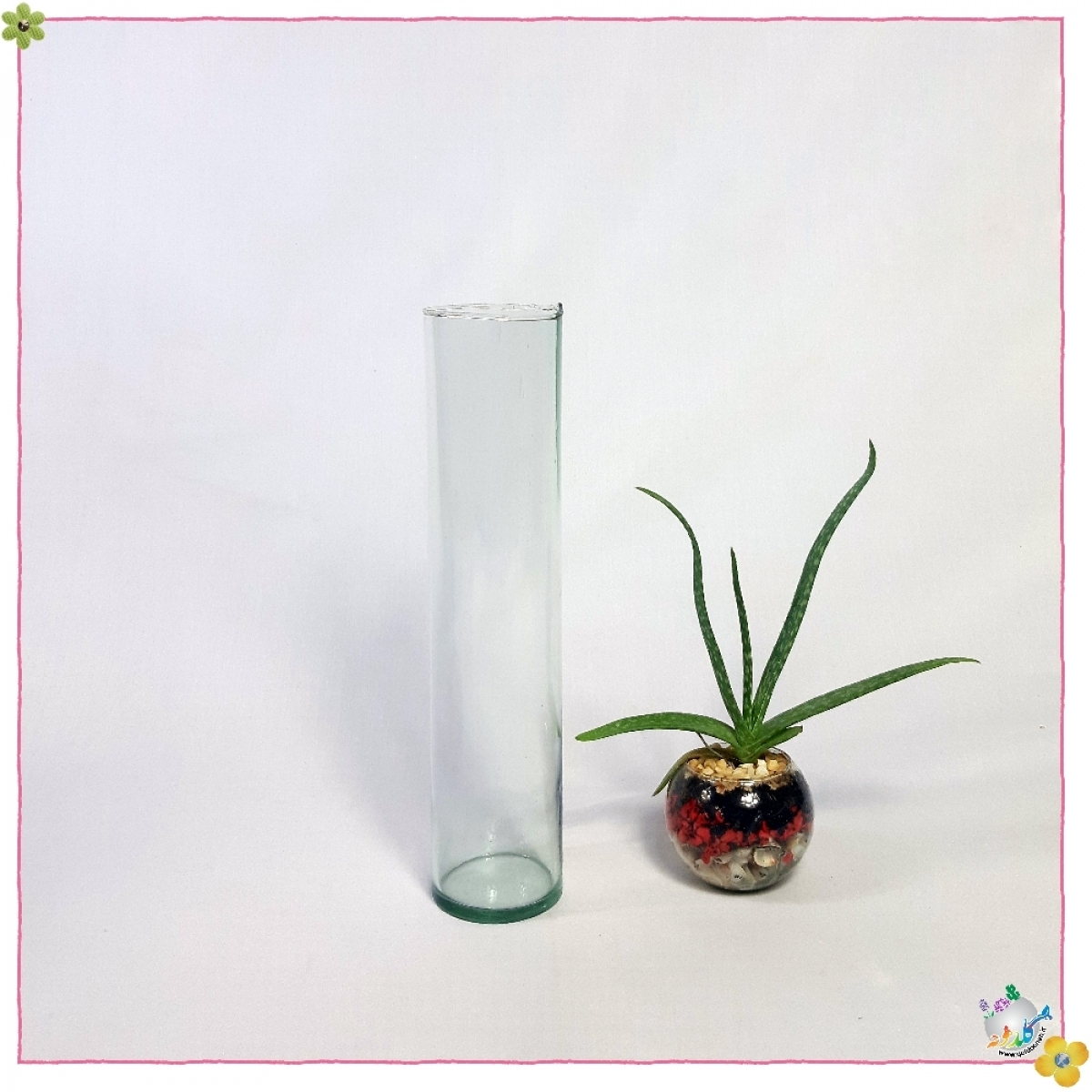 استوانه شیشه ایی قطر 6 ارتفاع 30