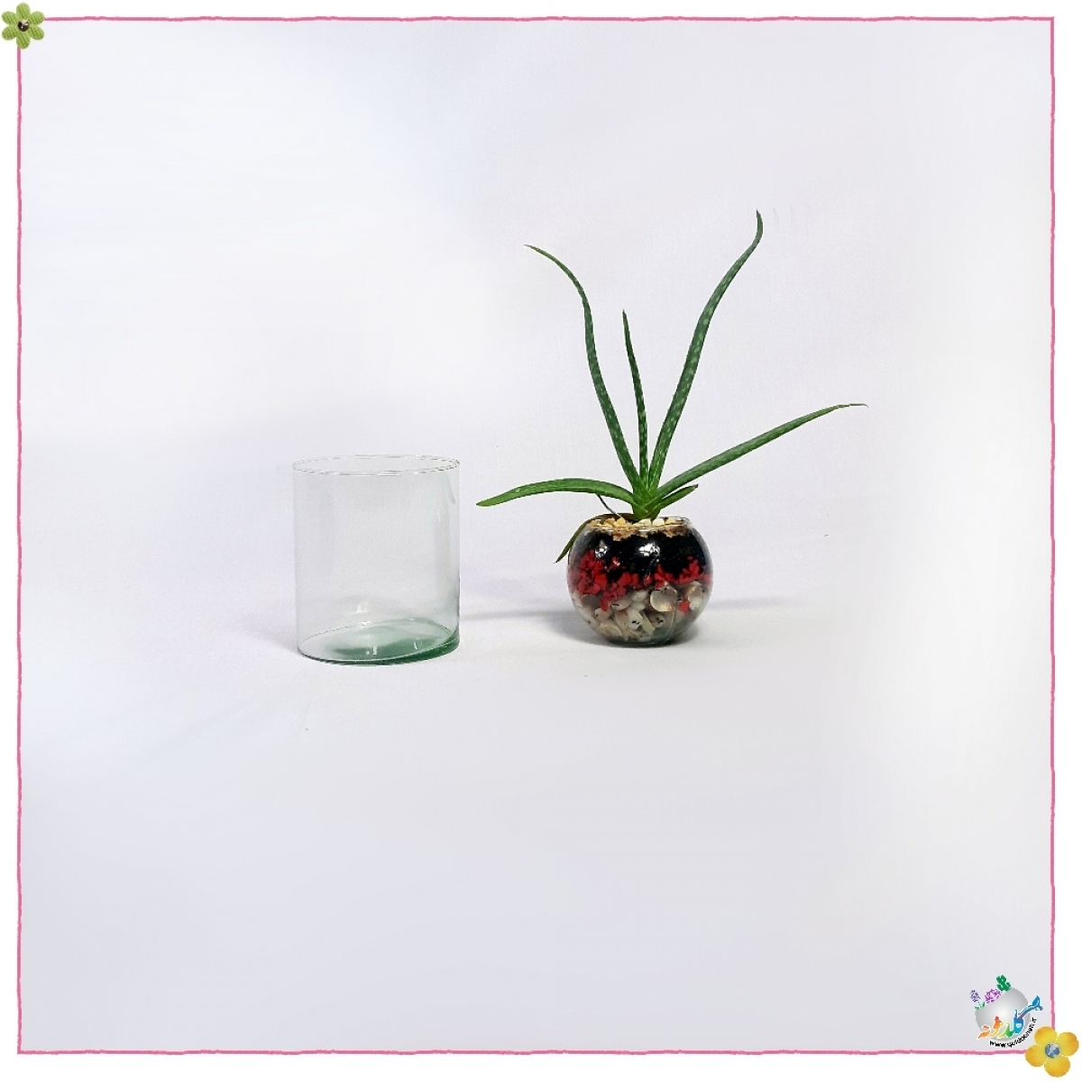 استوانه شیشه ایی قطر 8 ارتفاع 10