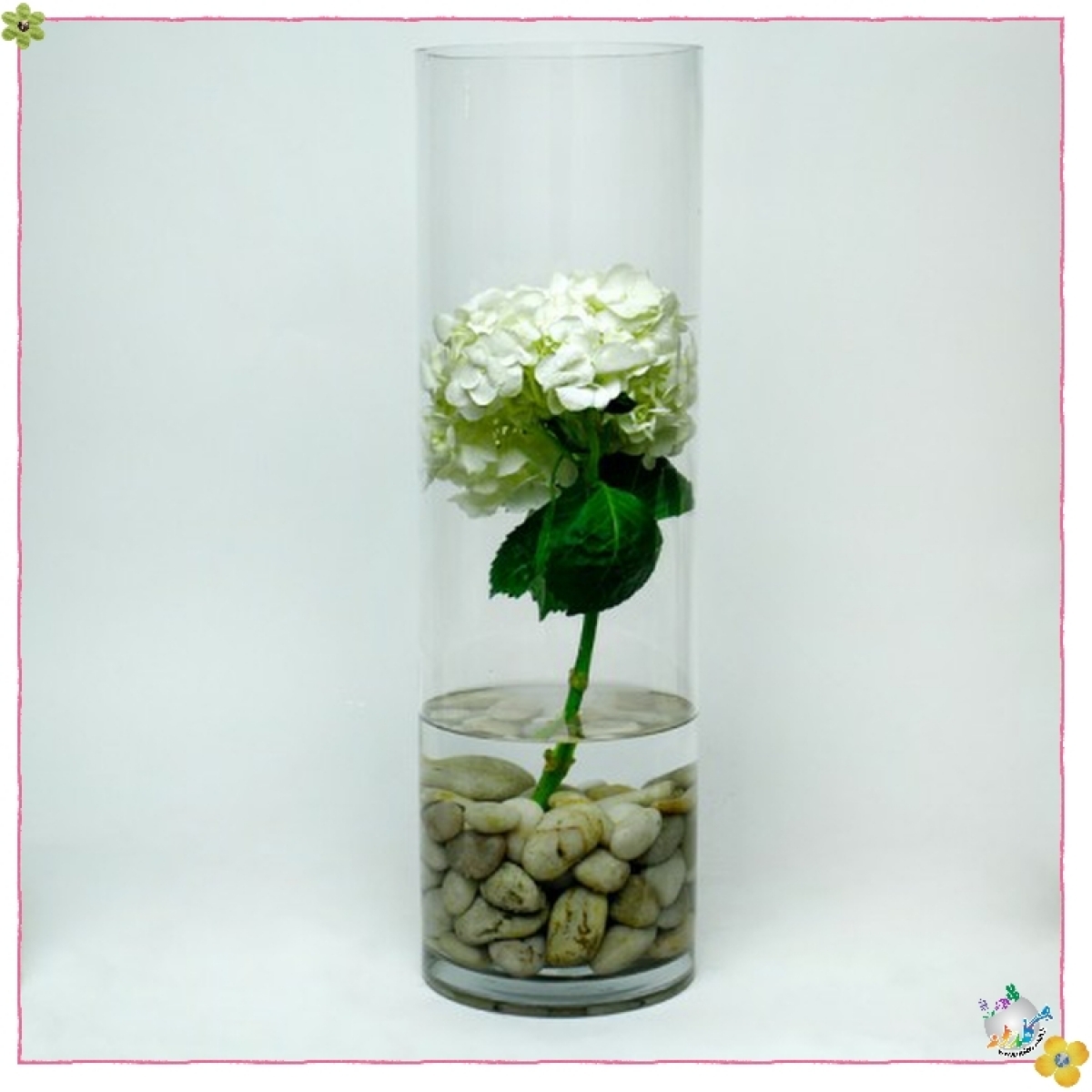 استوانه شیشه ایی قطر 8 ارتفاع 30