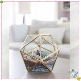 باکس چندوجهی کد 2018