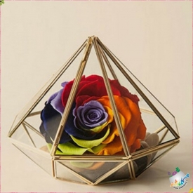 باکس چندوجهی کد 2041