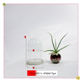 شیشه کفه دار طرح پدیده استوانه قطر 10 ارتفاع 15