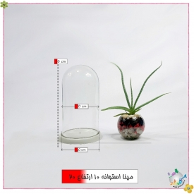 شیشه کفه دار طرح پدیده استوانه قطر 10 ارتفاع 20