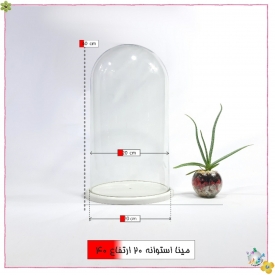 شیشه کفه دار طرح پدیده استوانه قطر 20 ارتفاع 40