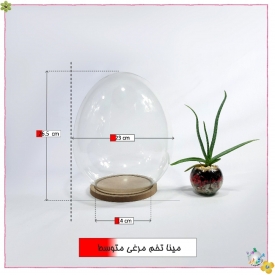 شیشه کفه دار طرح پدیده تخم مرغی متوسط
