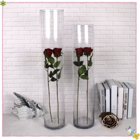 استوانه شیشه ایی قطر 10 ارتفاع 60