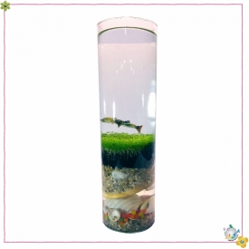 استوانه شیشه ایی قطر 10 ارتفاع 40