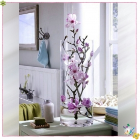 استوانه شیشه ایی قطر 12 ارتفاع 40