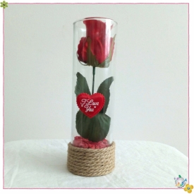استوانه شیشه ایی قطر 6 ارتفاع 20