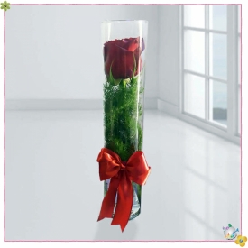 استوانه شیشه ایی قطر 6 ارتفاع 30