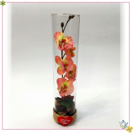 استوانه شیشه ایی قطر 6 ارتفاع 30