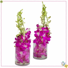 استوانه شیشه ایی قطر 8 ارتفاع 10