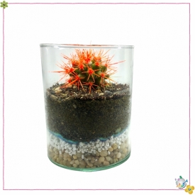 استوانه شیشه ایی قطر 8 ارتفاع 10