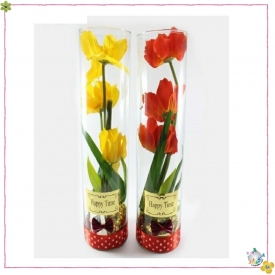 استوانه شیشه ایی قطر 8 ارتفاع 40