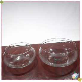 پردیس بزرگ  (عدسی بزرگ)